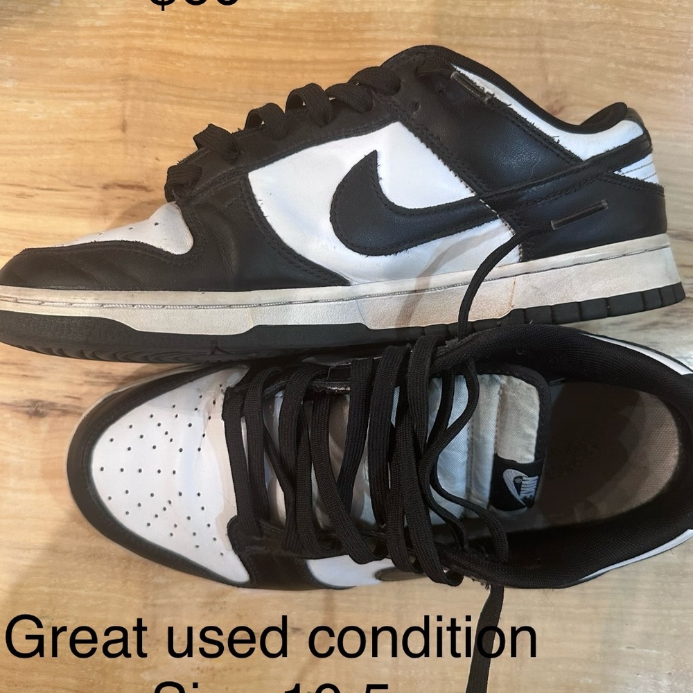Mens Nike Dunk Low Retro Casual Shoes